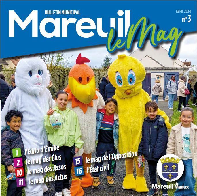 Mag 3