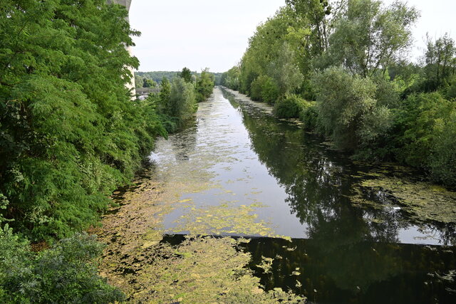 DSC_0498_MareuilLesMeaux.JPG